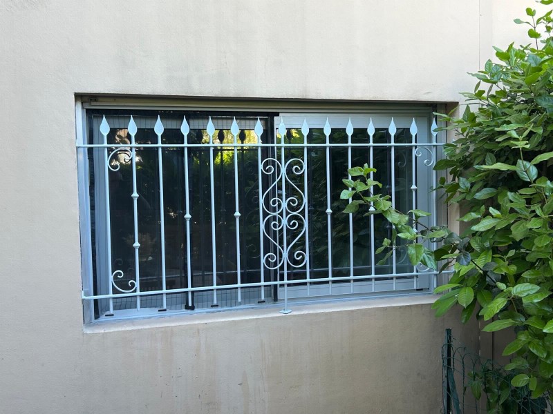 Grille de défense en fer forgé sur mesure pour fenêtre extérieure